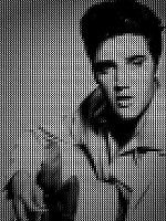 Elvis 12