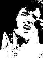 theo-hues-elvis-presley-pop-art.