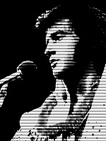 theo-hues-elvis-presley-pop-art.