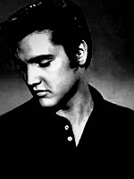 theo-hues-elvis-presley-pop-art.